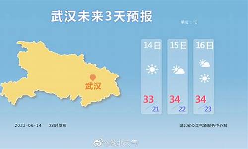 武汉未来一周天气预报15天天气预报实况情