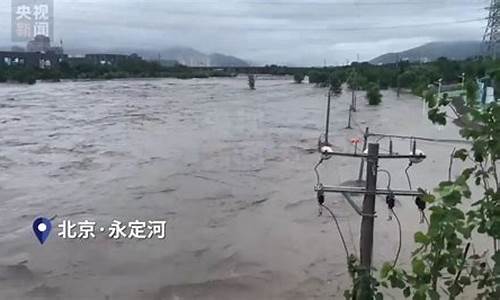 山东最吓人的大暴雨视频_山东最吓人的大暴