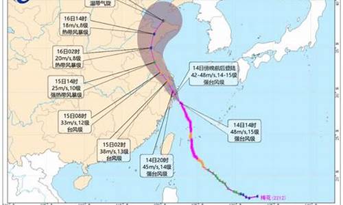 2022年台风全年预测_2021年台风预