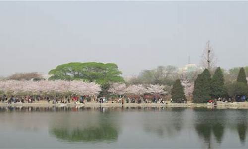 蠡县天气预报蠡县_蠡县天气预报蠡县天气