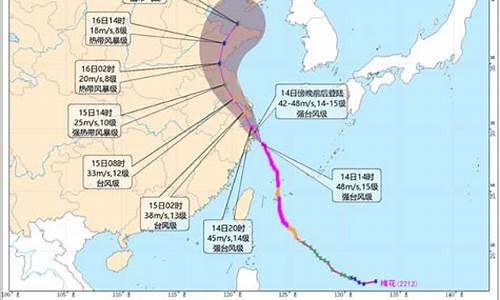 浙江省台风路径实时发布_浙江省台风路径实时发布图湛江日报社地